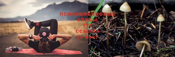 наркотики Зеленодольск