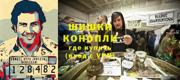 гидра Заводоуковск