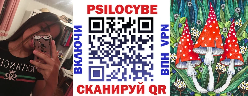 Псилоцибиновые грибы мицелий  Карасук 